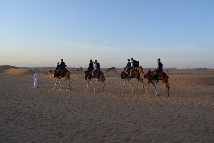Morning Safari by 4x4 from Dubai with Sand Boarding