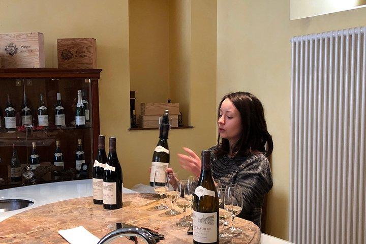 BURGUNDY : Unique Wine Tour from PARIS (Day-trip by TGV - High-speed train)