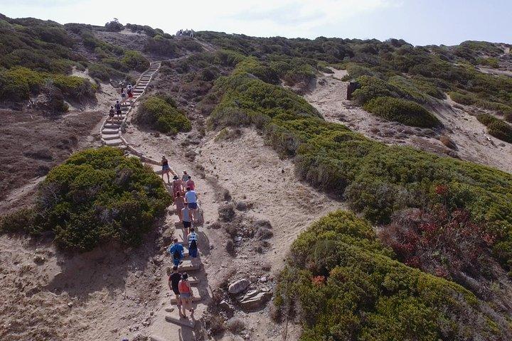 Jeep Safari Akamas from Paphos