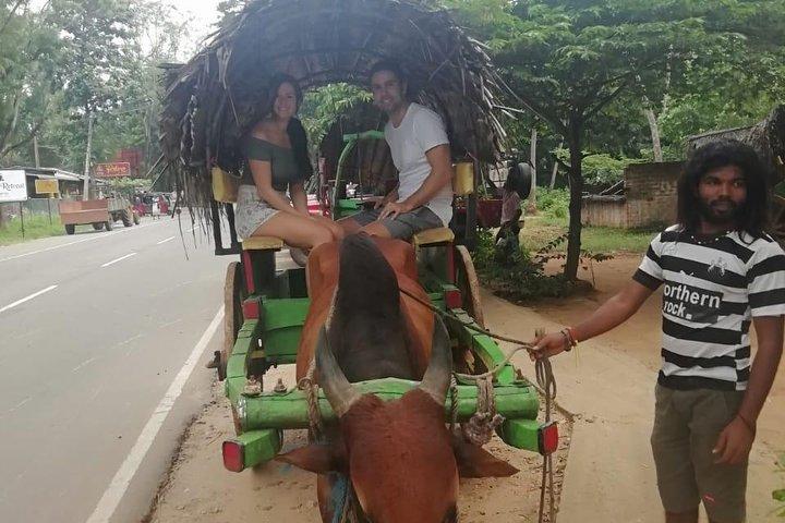 Sri lanka 5 day tour.