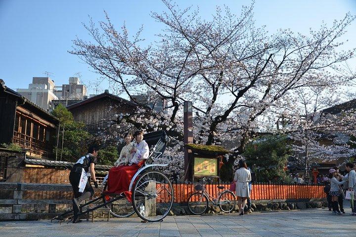 Private & Unique Kyoto Cherry Blossom "Sakura" Experience