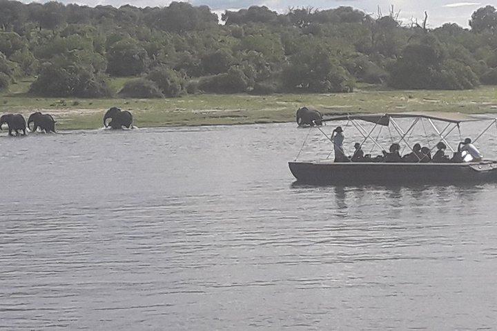 Chobe Day Trip Starting From Victoria Falls