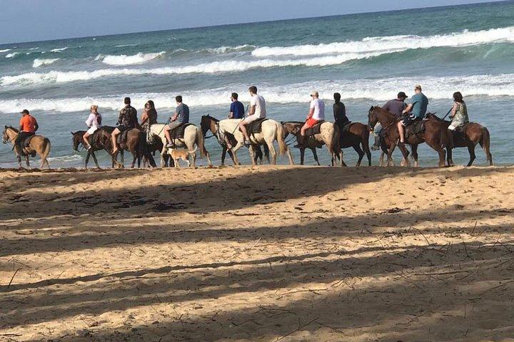 Sunset beach horsebackriding Punta Cana