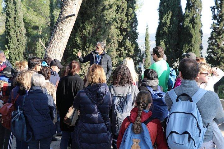 Travel To Bethlehem and Dead Sea - Daily Group West Bank Tour