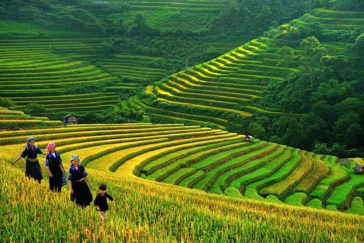 From Hanoi: 2-Day Fansipan Peak and Trek to Village with Train