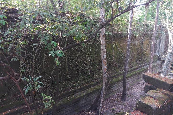 Private Tour to Beng Mealea Jungle Temple and Koh Ker