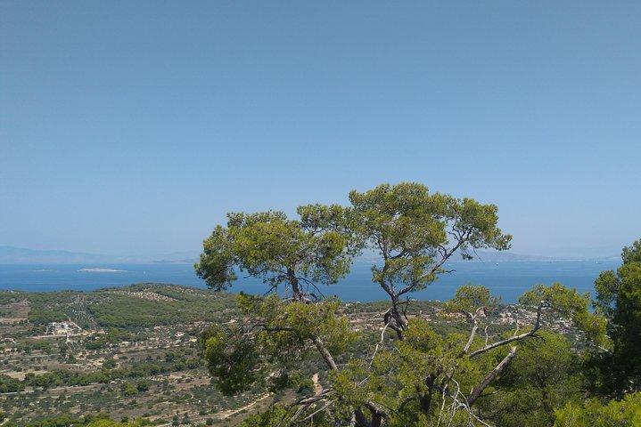 Aegina Island St Nektarios & Temple of Athina Aphaia Private Tour
