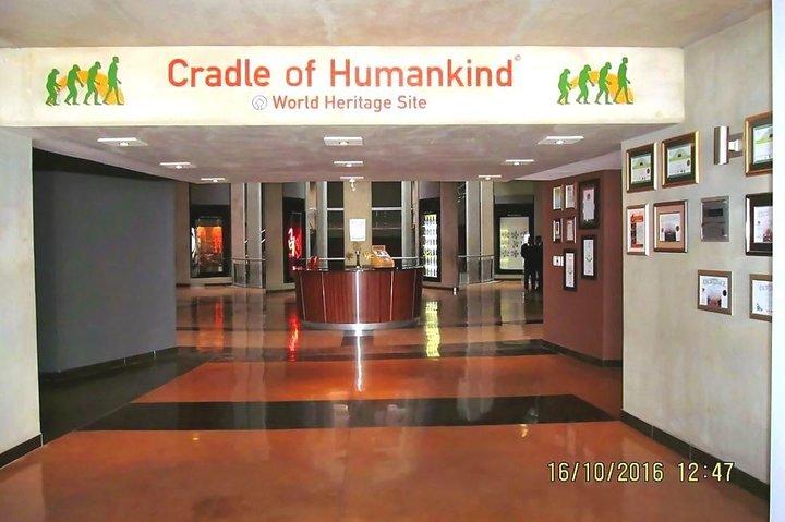Full-Day Cradle of Human Kind and caves private