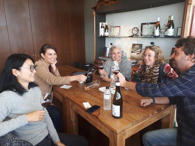 Day trip Lisbon Wine Tasting - Private tour
