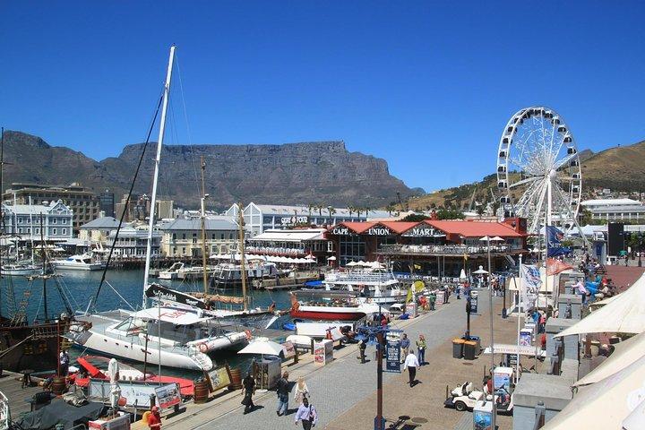 Cape Town Highlights & Hidden Gems: Private Tour with a Local