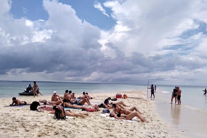 Sandbank Picnic and Dhow Sailing with Seafood Lunch