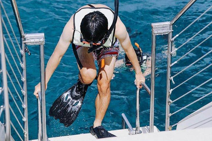 Oahu: Turtle Canyon Snorkel | Waikiki Beach - 12PM Snorkel & Sail