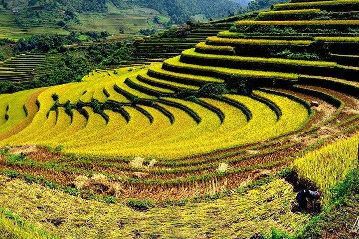 From Hanoi: 2-Day Overnight Sapa Tour by Luxury Van Limousine