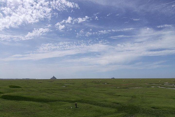 Day Trip with a local driver Mont Saint Michel from Saint Malo 6h