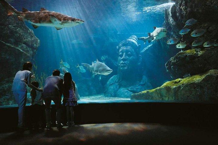 Sealife Bangkok and Madame Tussauds Bangkok for Foreigner