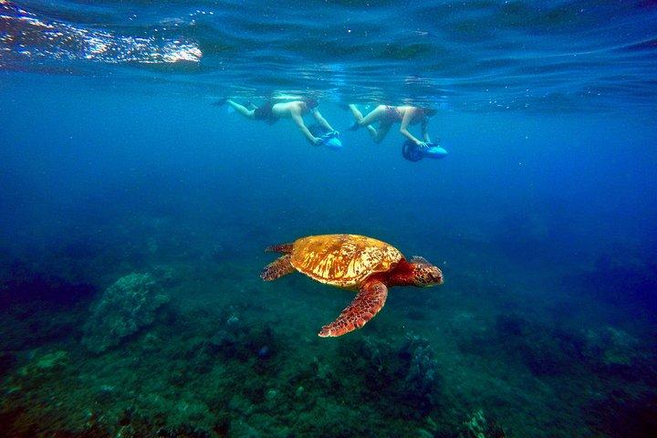 Sea Scooter Snorkeling Tour with Photo and Video - Wailea Beach
