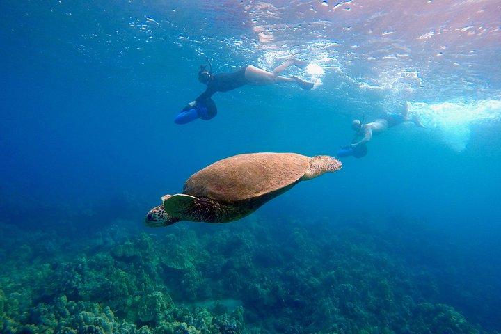 Sea Scooter Snorkeling Tour with Photo and Video - Wailea Beach