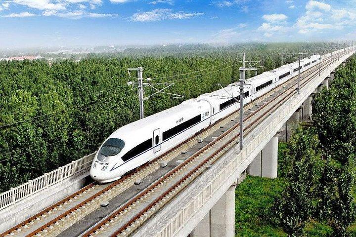 Hangzhou Private Customized Day Trip from Shanghai by Bullet Train