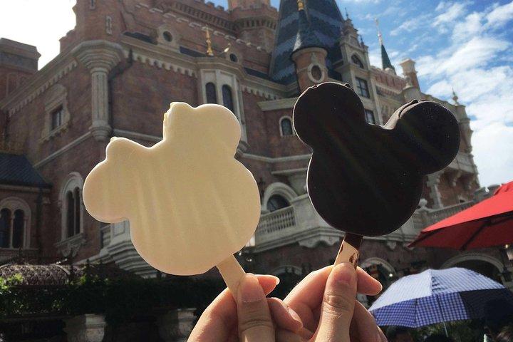 Private Transfer between Shanghai Disneyland and City Area