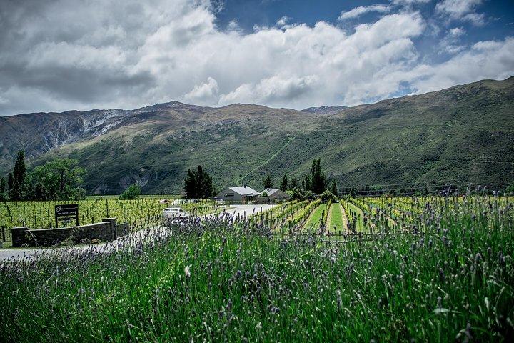 Hop on Hop off Wine Tours Queenstown