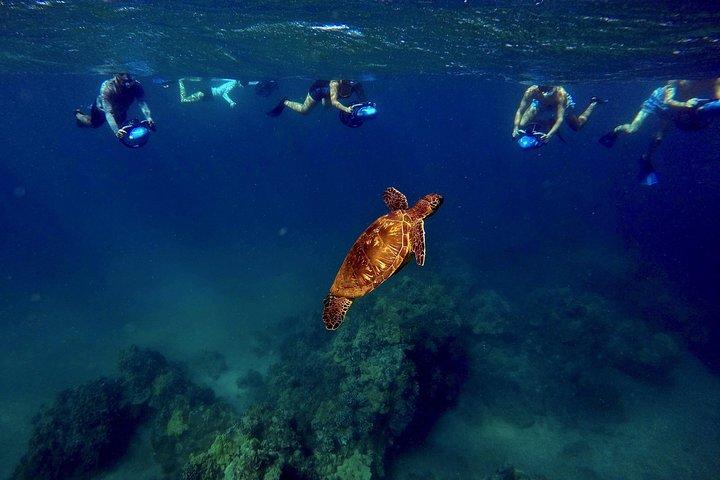Sea Scooter Snorkeling Tour with Photo and Video - Wailea Beach