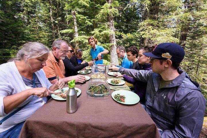 Best of Mount Rainier National Park from Seattle: All-Inclusive Small-Group Tour