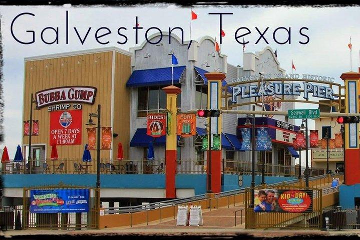 Houston Sightseeing Tour and Galveston Day Trip