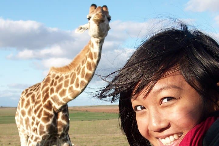 2 Day South African Wildlife Tour with 4x4 Safari from Cape Town