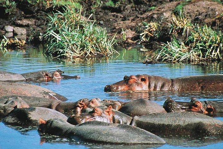 Full Day Mombasa Excursion Tour