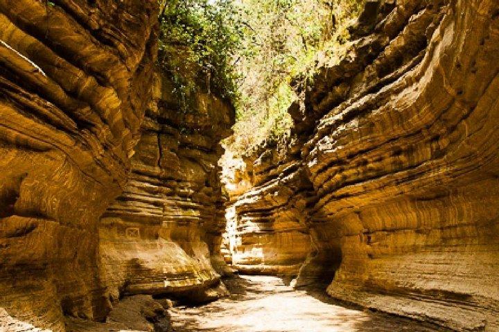 7 days Group Safari Masai Mara Lake Nakuru Hells gate & Amboseli