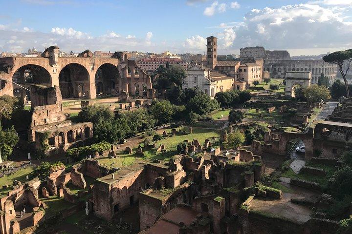 Walking Tour of the Colosseum, Roman Forum and Palatine Hill