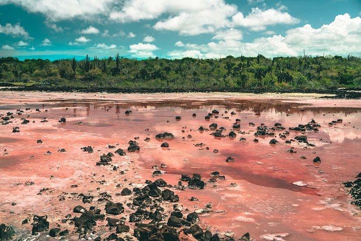 Bay Tour in Santa Cruz - Galapagos Islands