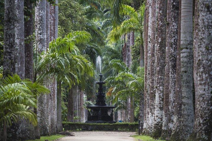 Jeep Tour Botanic Garden and Tijuca Rainforest