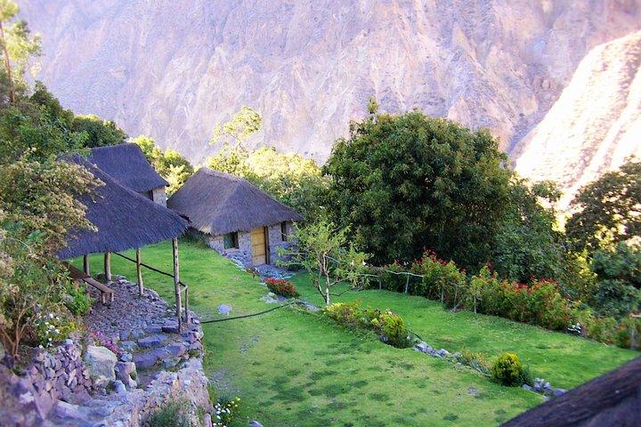3-Day Colca Canyon Trekking from Arequipa