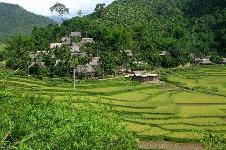 Pu Luong Nature Reserve 2 Days 1 Night Tour from Hanoi