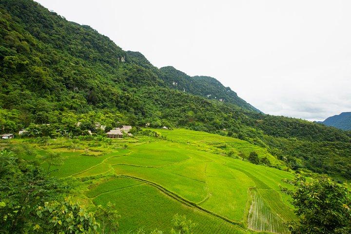 Pu Luong Nature Reserve 2 Days 1 Night Tour from Hanoi