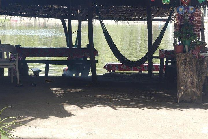 3 Palos Lagoon AfroMex Village Turtle Release & Croc Farm Visit