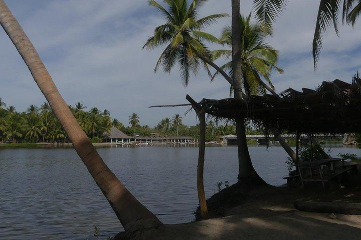 3 Palos Lagoon AfroMex Village Turtle Release & Croc Farm Visit