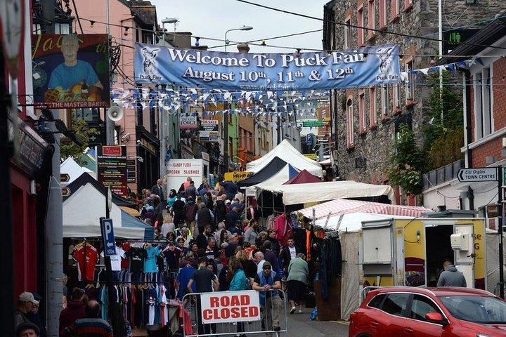 Ring of Kerry Day Tour from Limerick: Including Killarney National Park