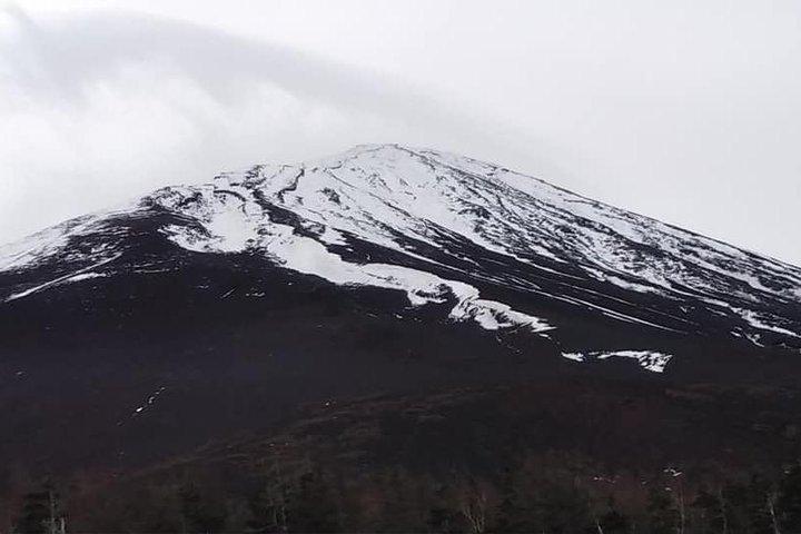 Mt. Fuji Day Tour by Private Minivan with Licensed Tour Guide and Driver