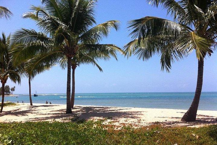 Praia Do Forte & Guarajuba Beach Day Trip