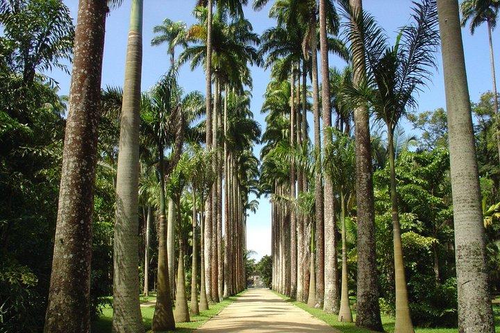 Private Tour: Explore Rio creating your own Itinerary