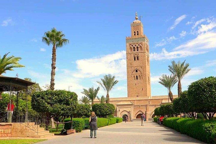 Explore Marrakech and agafay desert from Casablanca