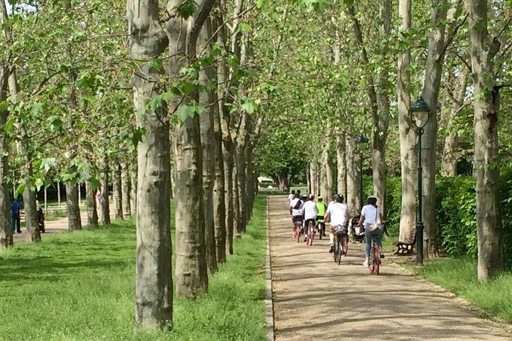 Prague Bike Tour - Stunning Viewpoints, Castle, City & Park