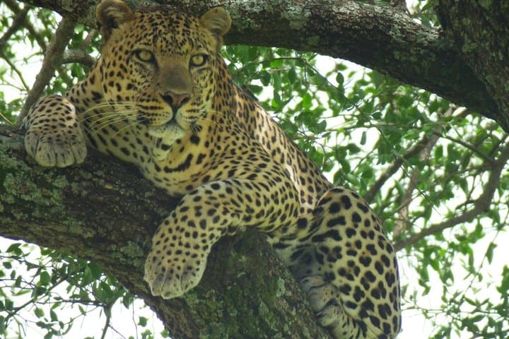 Day trip Lake Nakuru National Park