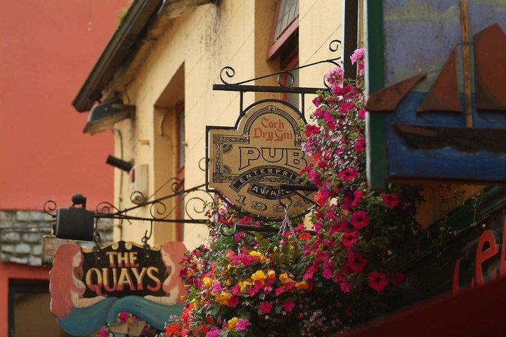Connemara and Galway City Day Tour from Dublin