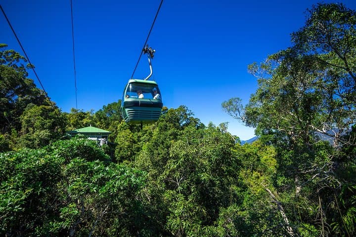 Classic Kuranda by Skyrail and Scenic Railway, Rainforestation & lunch. CKB