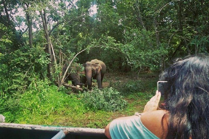 Private Dambulla Sigiriya Tour from Kandy with Lunch