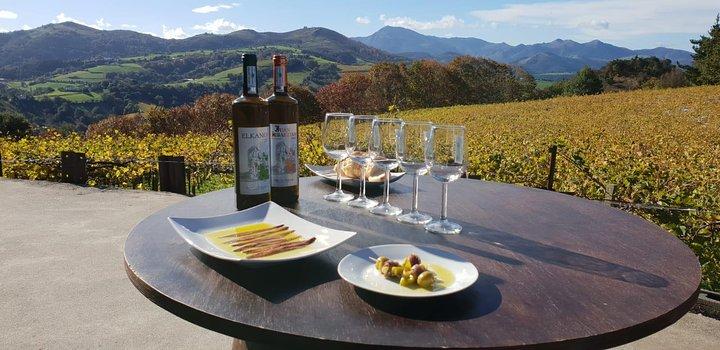 Getaria Txakoli wine tour from San Sebastian
