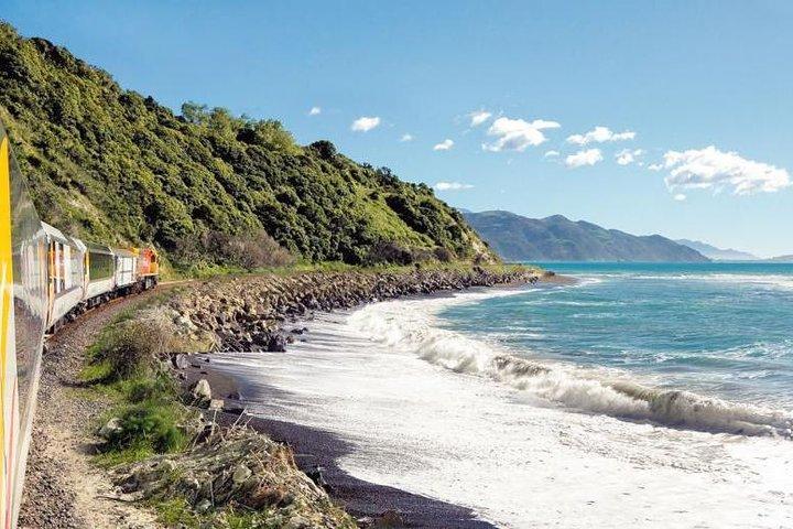 Kaikoura Whale Watch Day Tour from Christchurch including Coastal Pacific Train